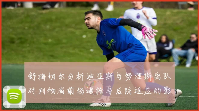 舒梅切尔分析迪亚斯与努涅斯离队对利物浦前场逼抢与后防适应的影响