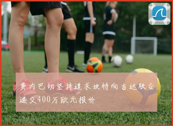 费内巴切坚持追求坎特向吉达联合递交400万欧元报价