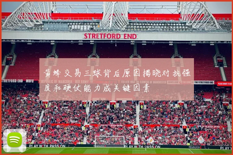 黄蜂交易三球背后原因揭晓对抗强度和硬仗能力成关键因素